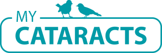mycataracts.com.ua logo